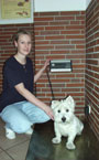 Hund bei Tierarzt auf Waage