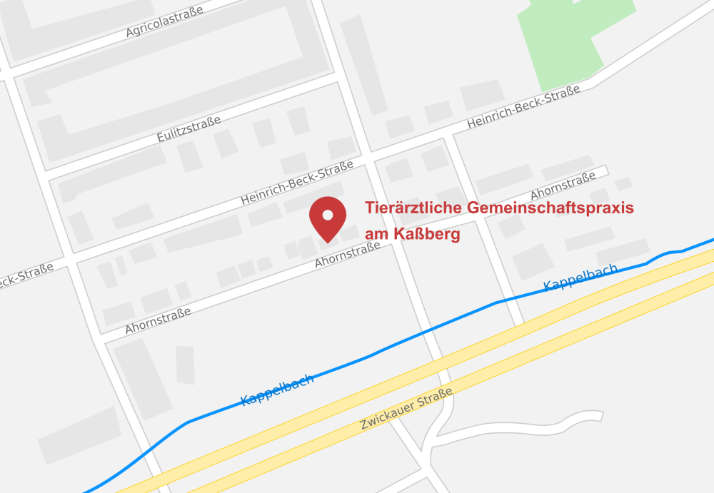 Anfahrt Tierärztliche Gemeinschaftspraxis am Kaßberg - Chemnitz